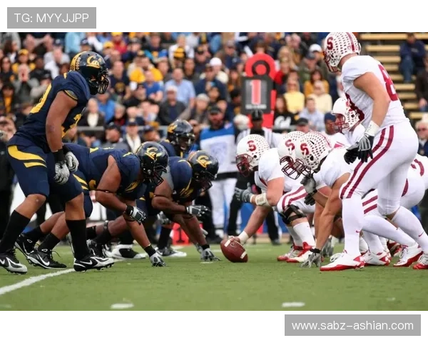 华体会体育移动端体验优化方案让你随时随地畅享体育盛事